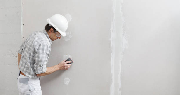 Best Industrial Mold Remediation  in Westchester, FL