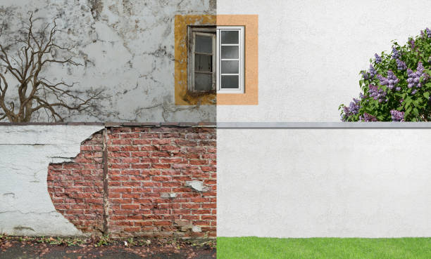 Best Post-Construction Mold Inspection  in Westchester, FL