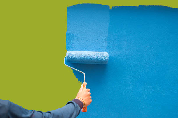 Trusted Westchester, FL Mold Removal Experts